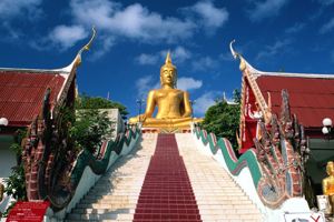 Pattaya travel insurance