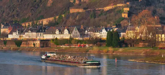 Rhine River Cruises