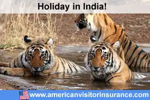 Travel insurance for Ranthambore national park