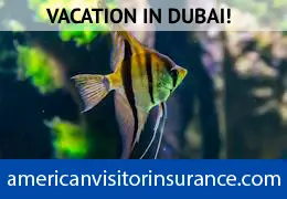 Travel insurance for Dubai Aquarium