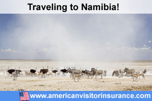 Travel insurance for Etosha National Park