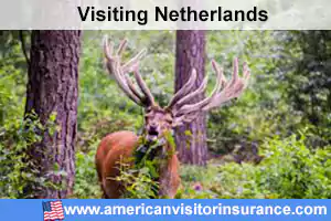 Travel insurance for Hoge Veluwe National Park