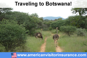 Travel insurance for Central Kalahari Game Reserve