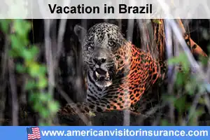 Travel insurance for Pantanal