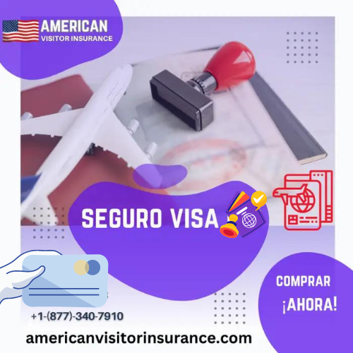 Seguro de visa de visitante