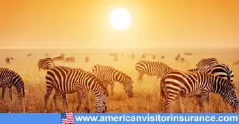 Travel insurance for Tanzania