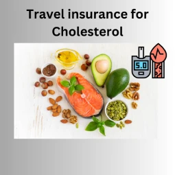 travel insurance for Cholesterol Visitors